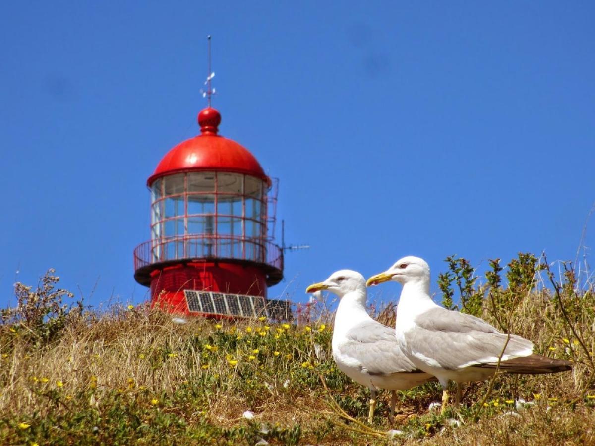 Best Houses 22- Great Location In Baleal! 佩尼契 外观 照片